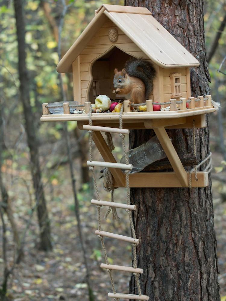 13 DIY Squirrel Feeder Ideas for Your Yard