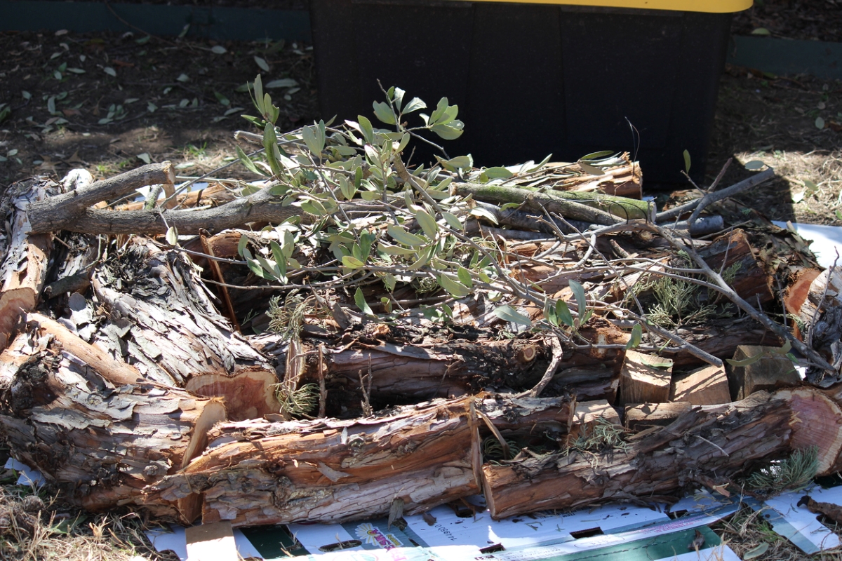 Hugelkultur garden bed with wood logs