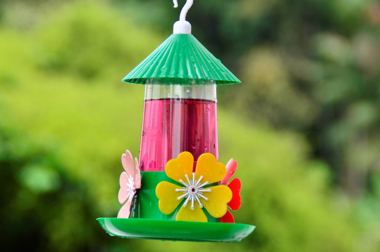 A beautiful colorful flower hummingbird drinking fountain