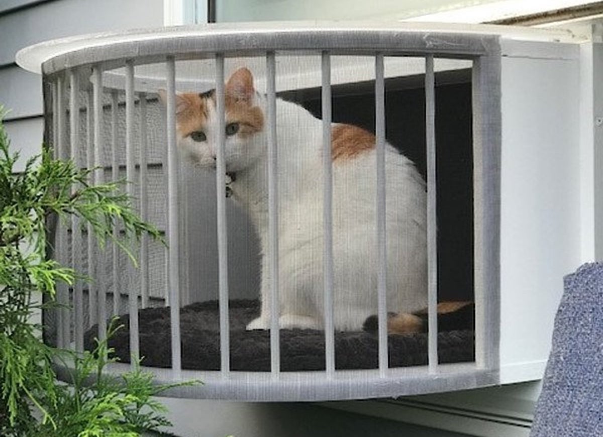 9 Catio Ideas Your Feline Friends will Love