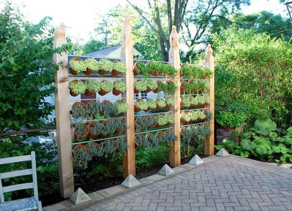 Mur végétal pour préserver l'intimité de votre jardin