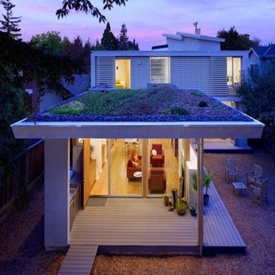 Trending Now:  Green Roofs