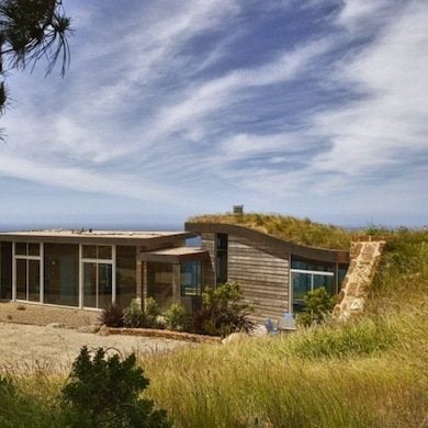 Trending Now:  Green Roofs