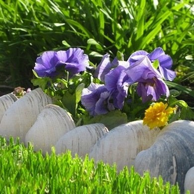 À la limite : 16 bordures de jardin à réaliser