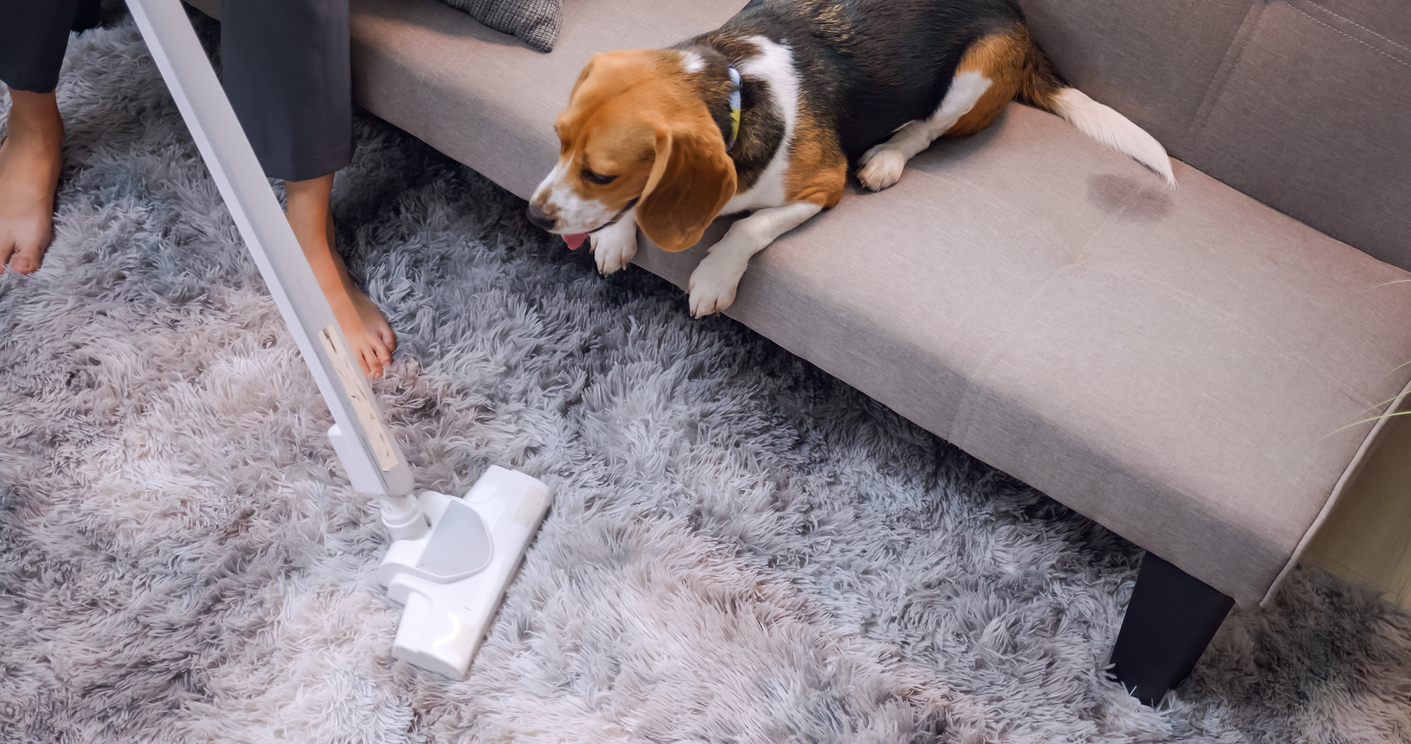 A woman cleaning dog hair at home.