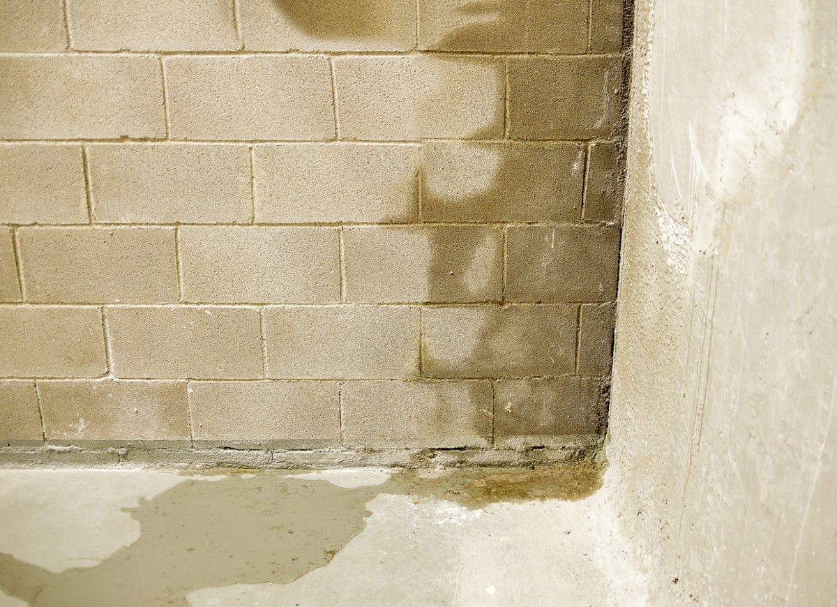 No Pro Needed: 6 Concrete Repairs You Can Fix on Your Own