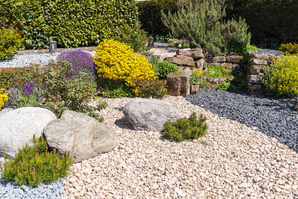 Un jardin de rocaille coloré avec des arbustes à fleurs constituant un paysage xéropaysagiste soucieux de l'eau.