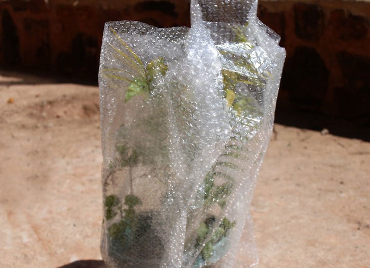 9 Extraordinary Uses for Bubble Wrap