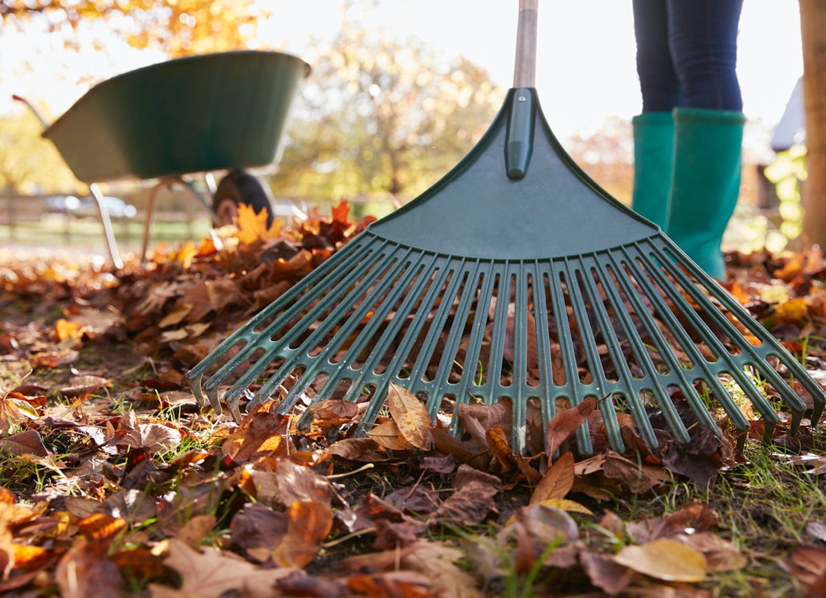 15 Tricks to Know If You Hate Fall Yard Work