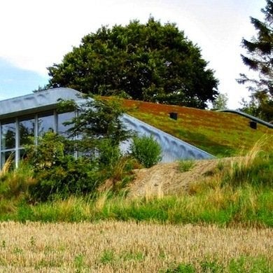 Trending Now:  Green Roofs