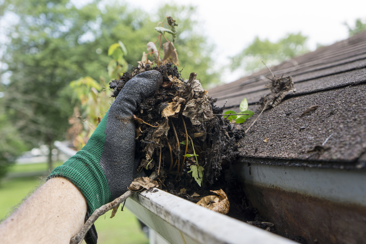 Un propriétaire portant des gants en néoprène verts et noirs extrait les feuilles mortes, la boue et d'autres débris des gouttières de sa maison.