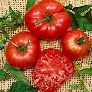 Ripe for the Picking: 10 Full-Bodied, Full-Flavored Heirloom Tomatoes