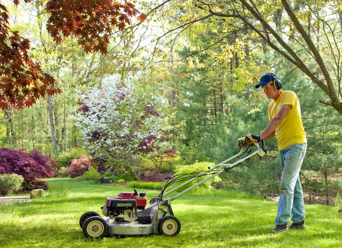 11 Ways You’re Accidentally Ruining Your Lawn