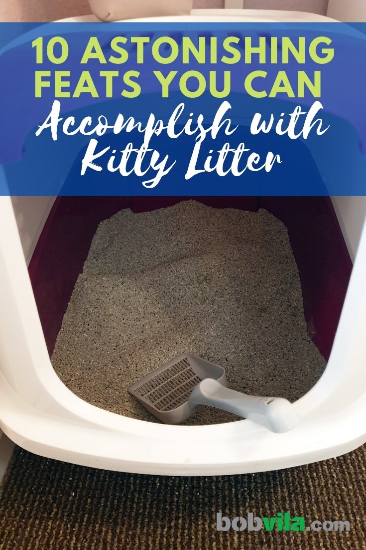 10 Astonishing Feats You Can Accomplish with Kitty Litter