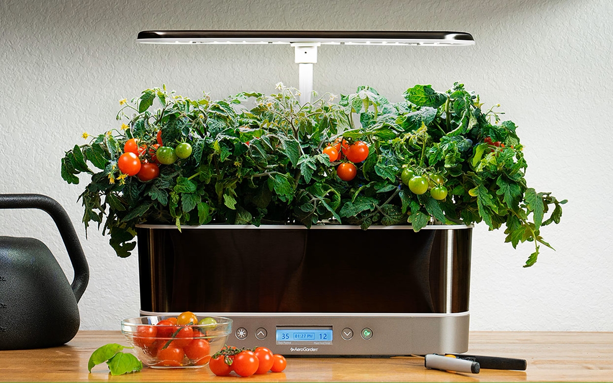 Hydroponic vegetable garden machine