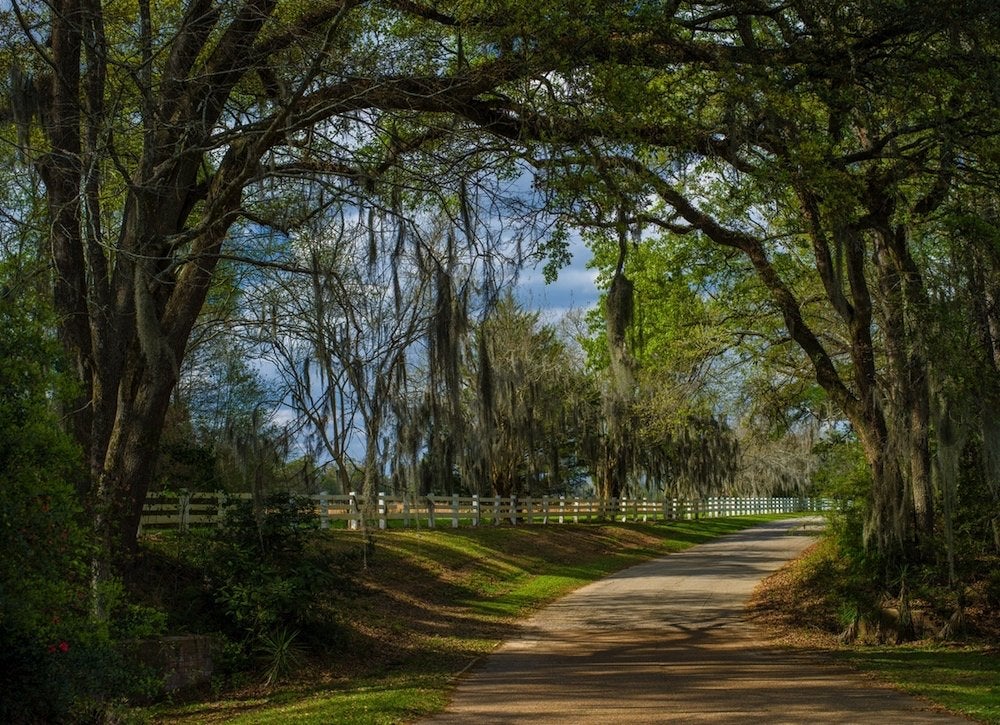 The Best Tiny Town in Every State