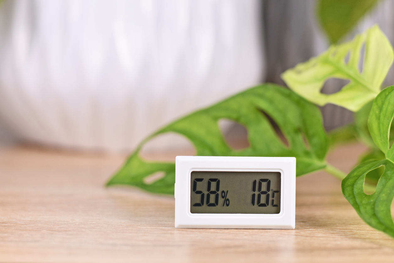 Indoor humidity reader sits on wooden tables near green palm plants.