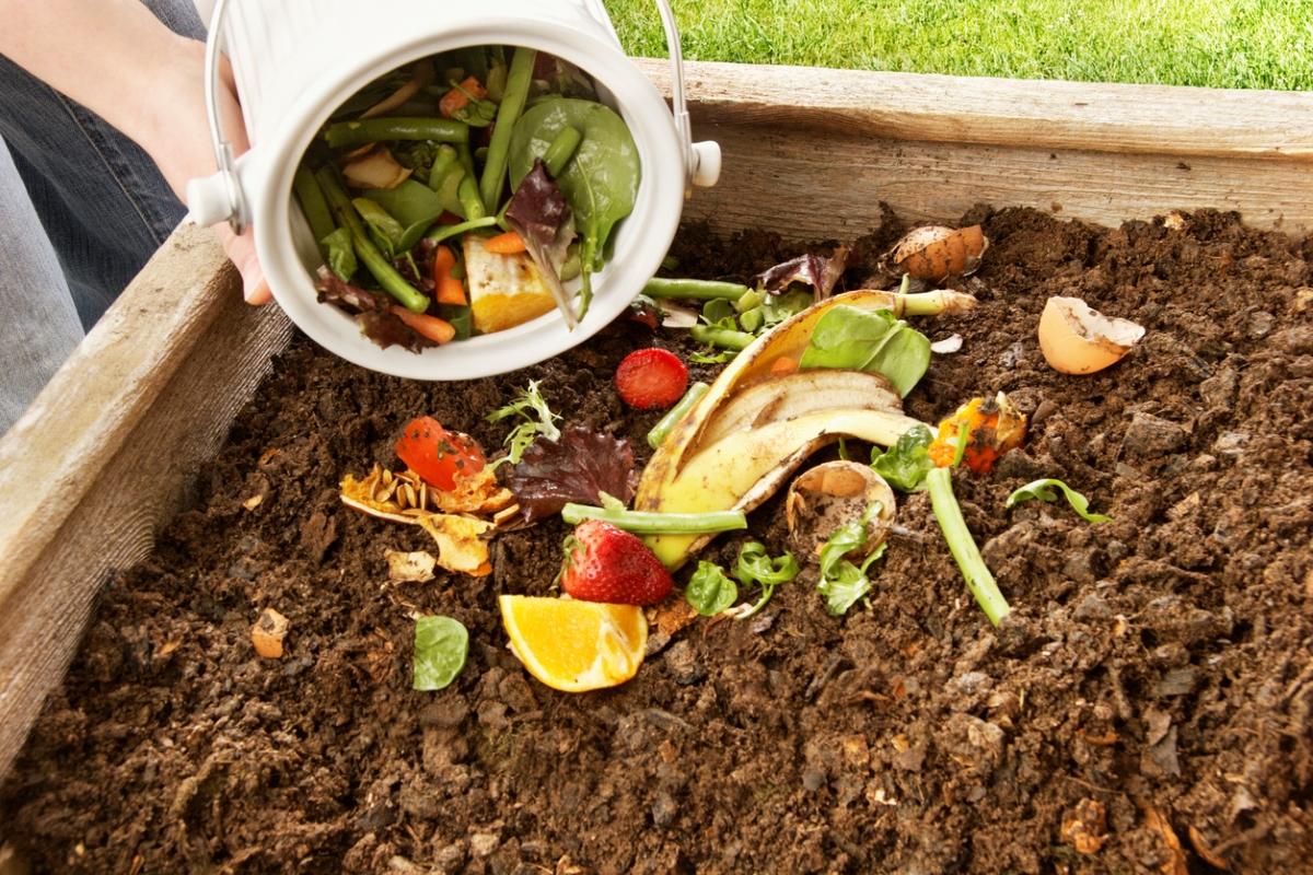 Throwing kitchen scraps in garden bed