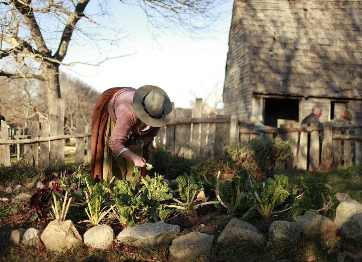 What It Was Like Inside the Homes of the Pilgrims