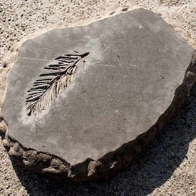 10 DIY Step Stones to Brighten Any Garden Walk