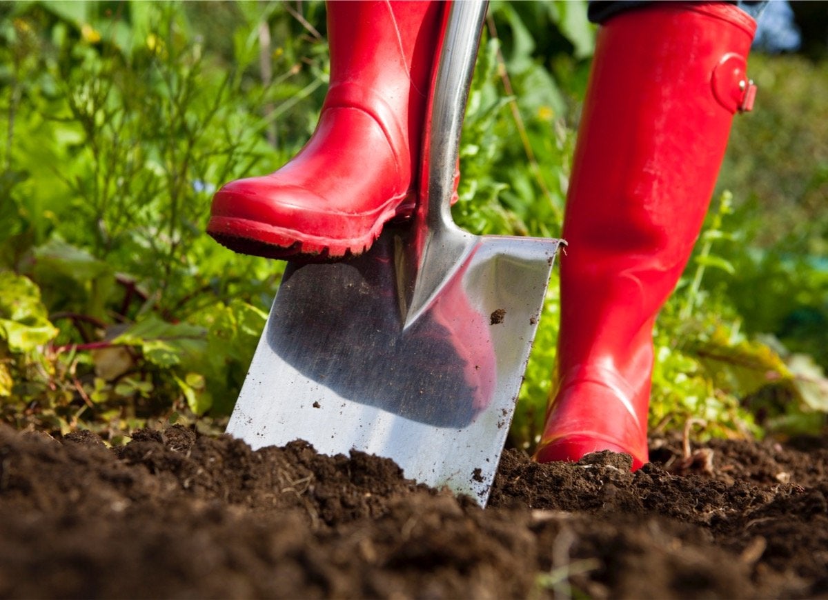 9 Mistakes You’re Making That Are Damaging Your Soil