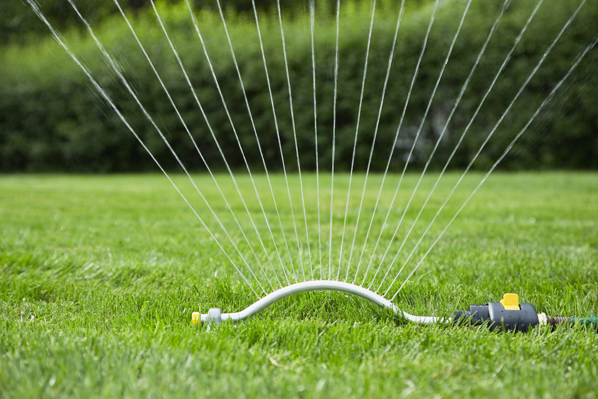 Un arroseur en forme de V pulvérise de l'eau sur une pelouse verte.