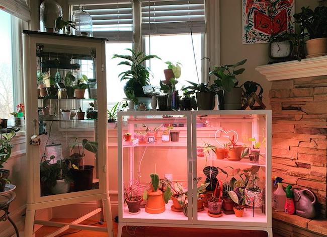 This is the Ultimate IKEA Hack for Plant Parents