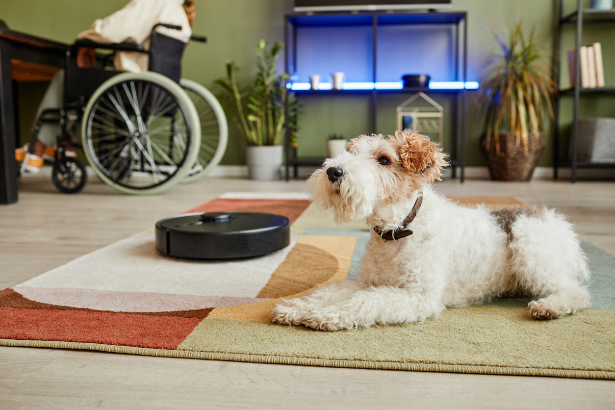 iStock-1387261982 appliance maintenance robot vaccum next to dog