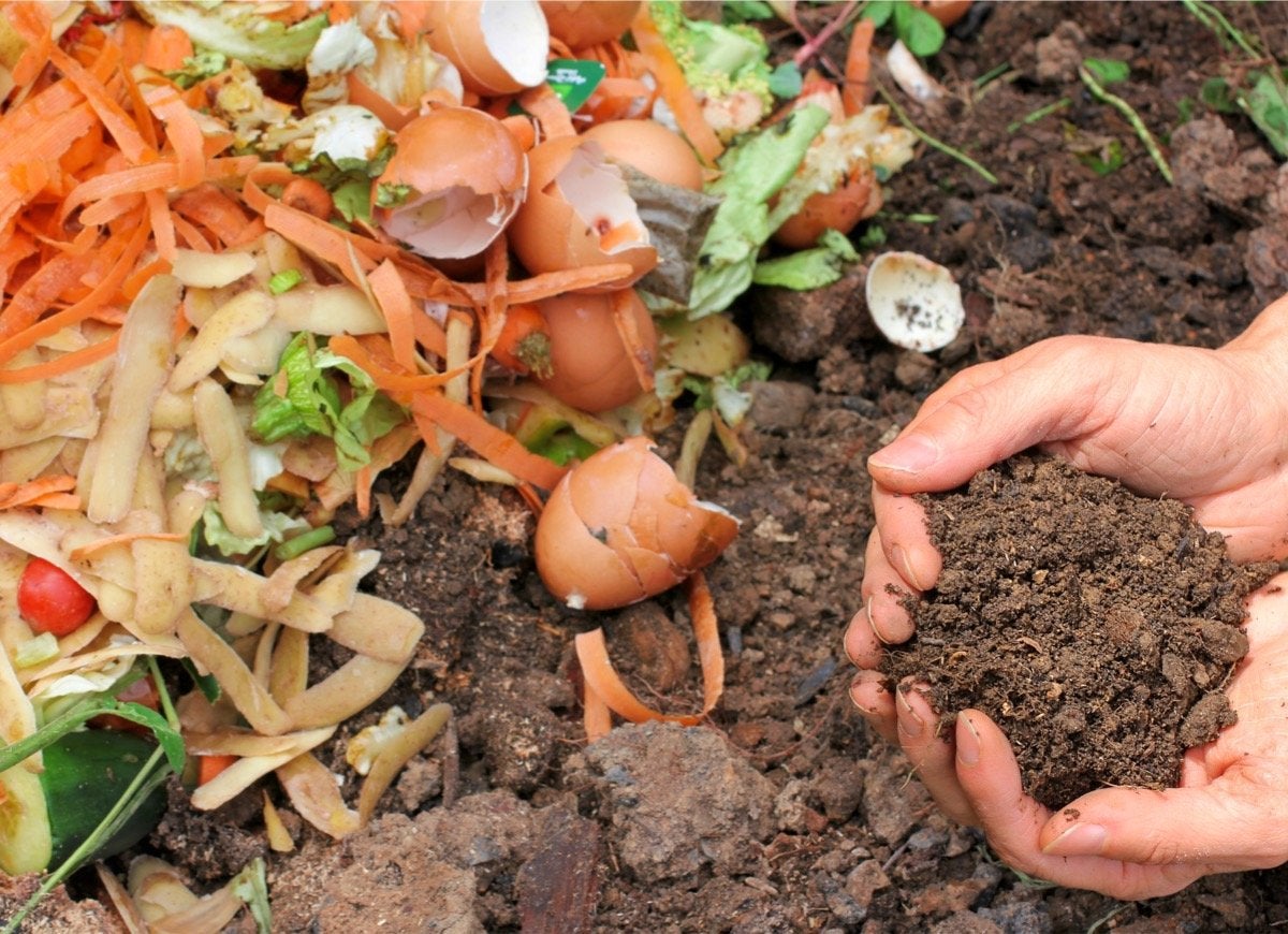 9 Mistakes You’re Making That Are Damaging Your Soil