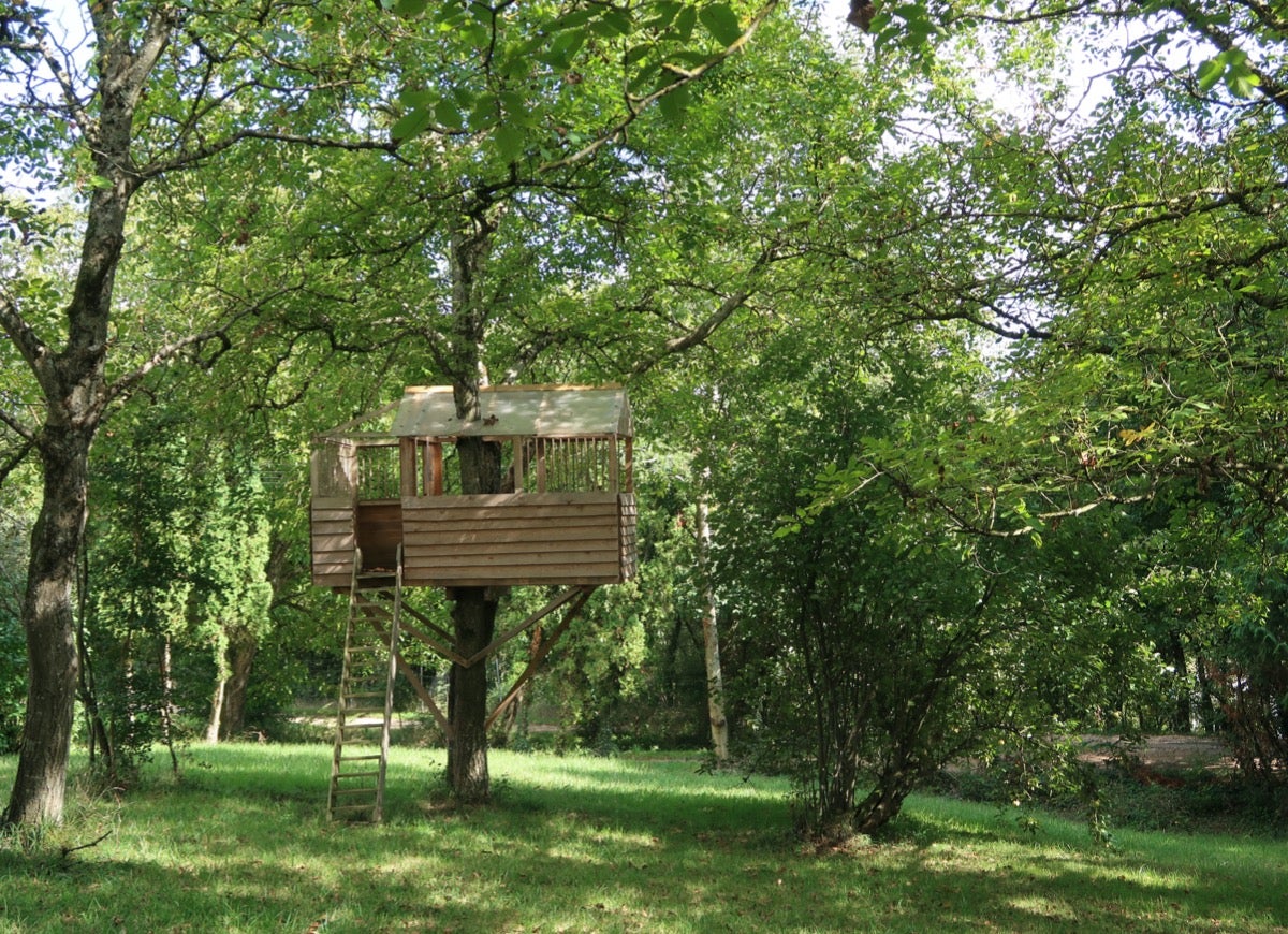 12 Unique Treehouse Ideas for Your Backyard