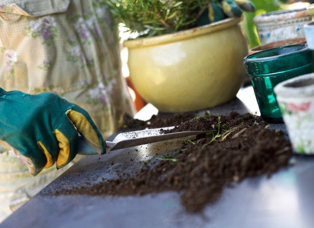 10 Surprising Things You Can Do with Used Tea Bags