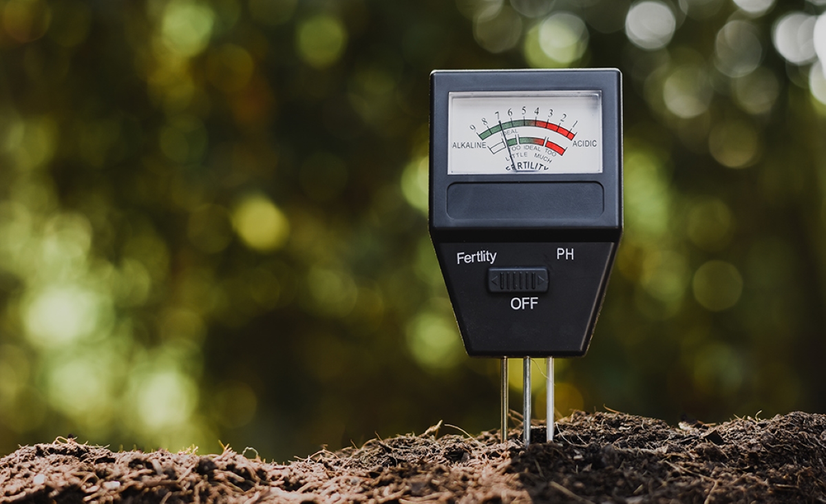 Ph testing device in soil