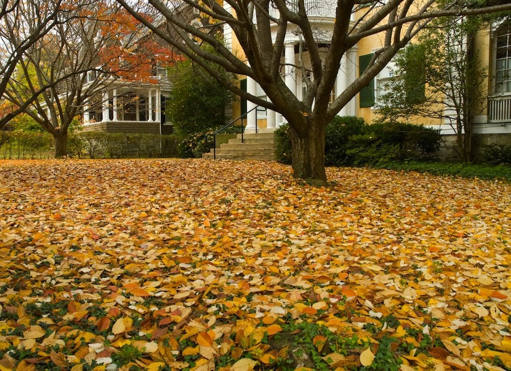 Don’t Make These 8 Mistakes in Your Front Yard