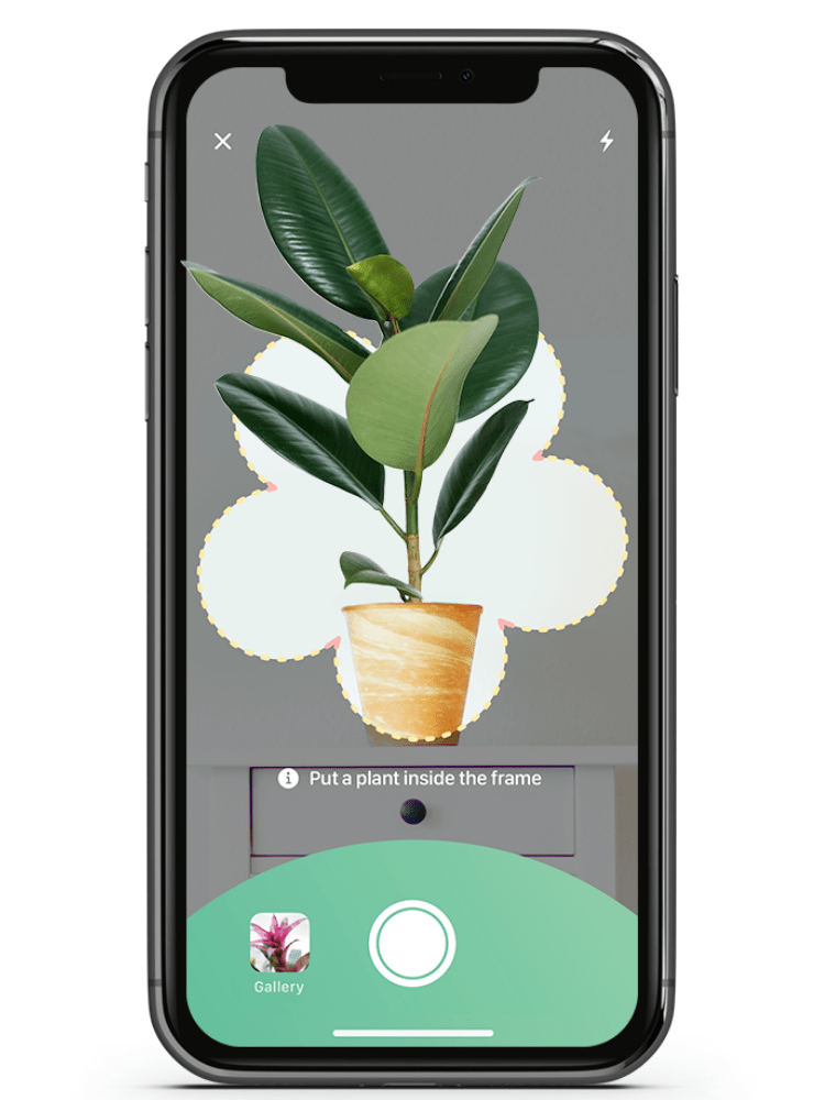 The Best Gardening and Plant Identification Apps for Your Smartphone