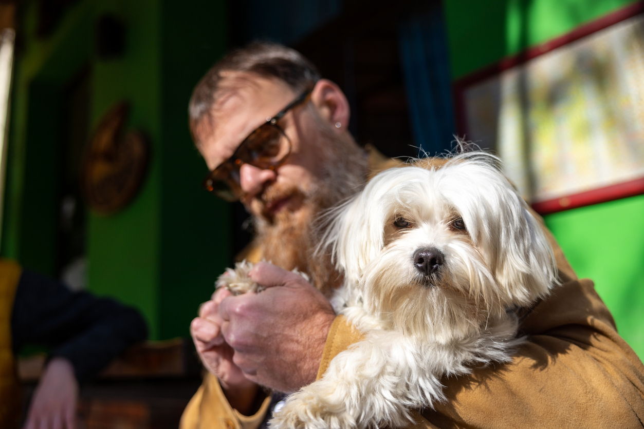 l'huile de coco utilise un homme tenant un chien caressant la patte du chien