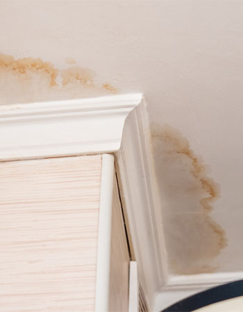 Does Renters Insurance Cover Water Damage