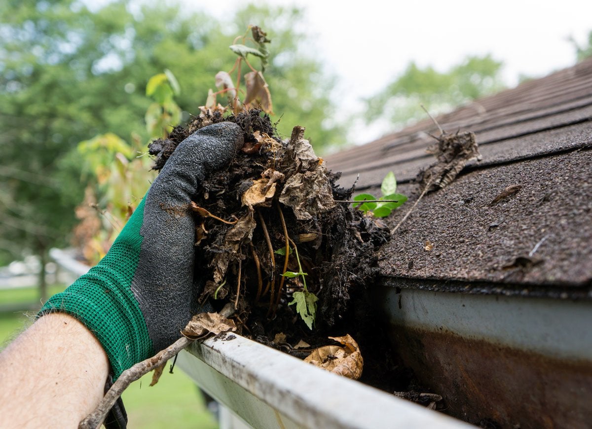 The Best Things You Can Do for Your Yard This Fall