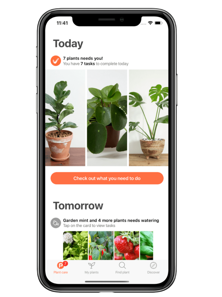 The Best Gardening and Plant Identification Apps for Your Smartphone