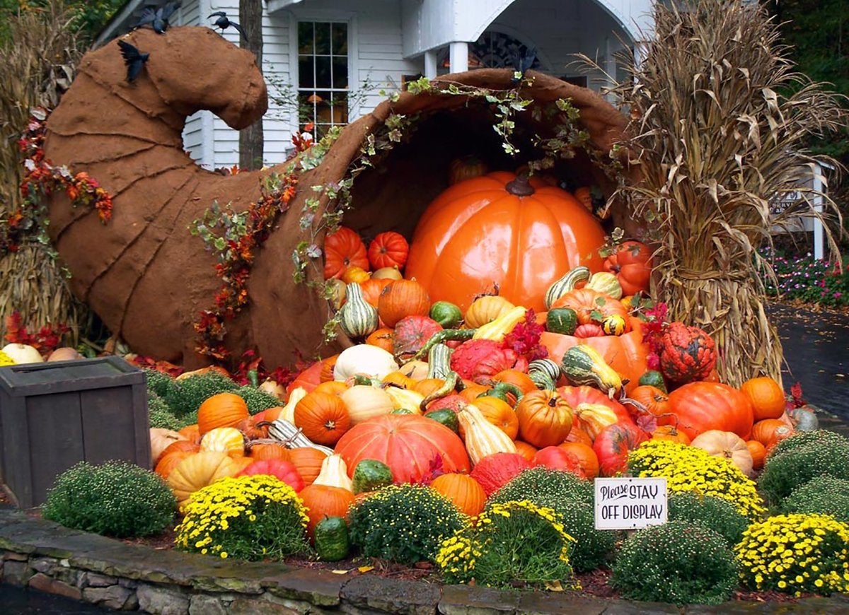 Les 22 expositions de citrouilles les plus cool du pays