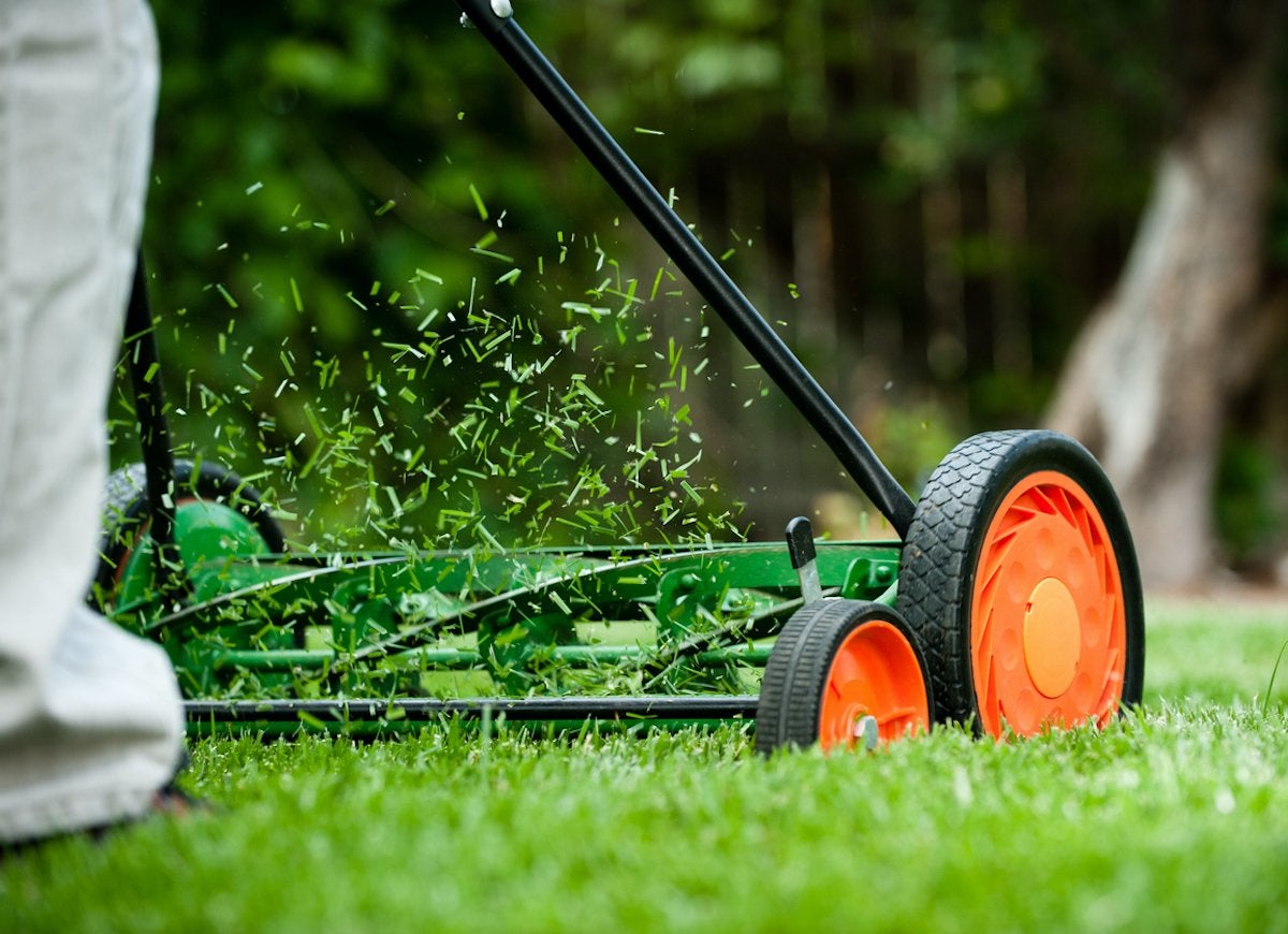 12 Ways to Be a Good Neighbor—to Your Backyard Wildlife