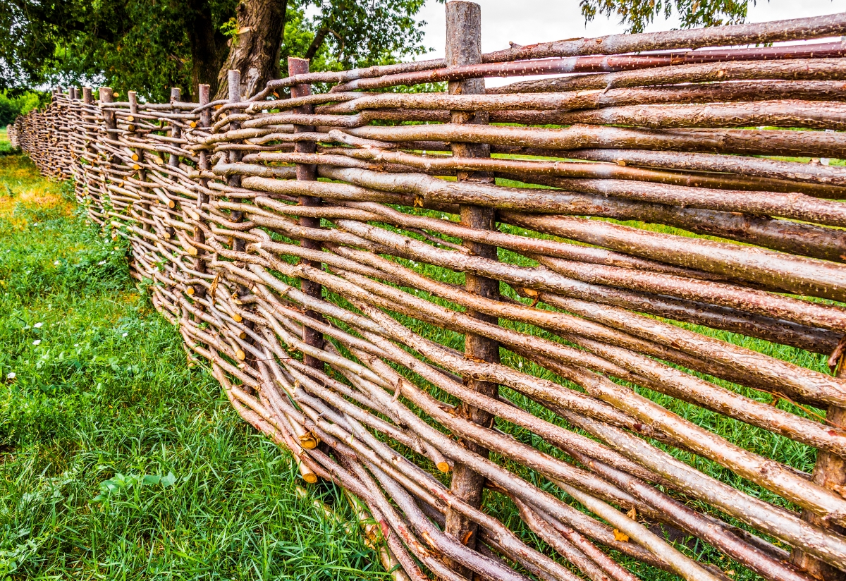 A fence made of woven branches.