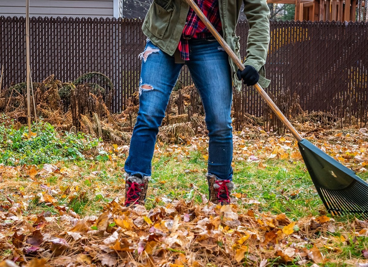 The Do’s and Don’ts of Cleaning Up Leaves