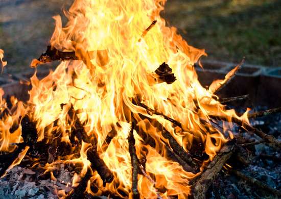 Close up of bonfire burning