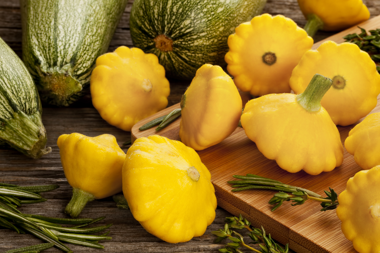 types of squash