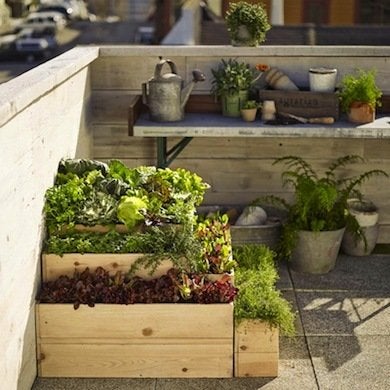 10 Rooftop Gardens That Bring Gardening to New Heights