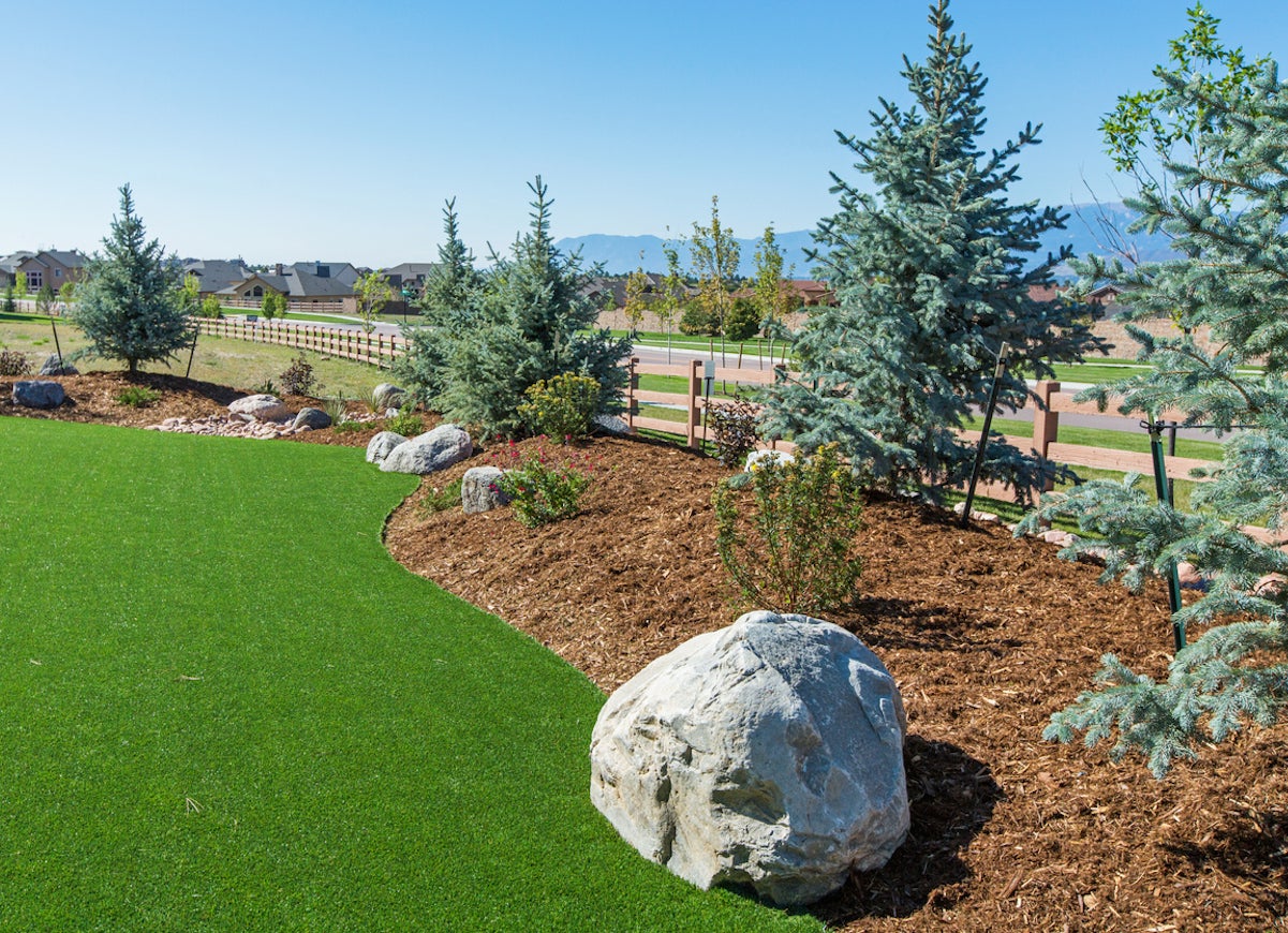 The Most Common Questions About Artificial Grass, Answered