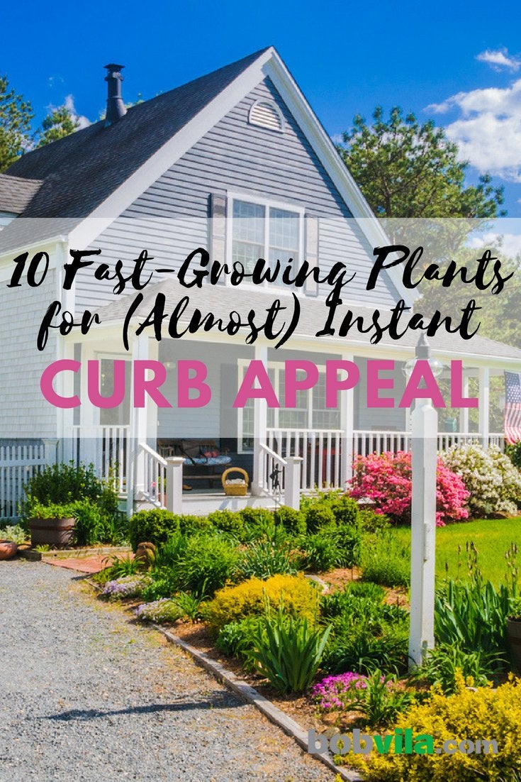 10 Fast-Growing Plants for (Almost) Instant Curb Appeal