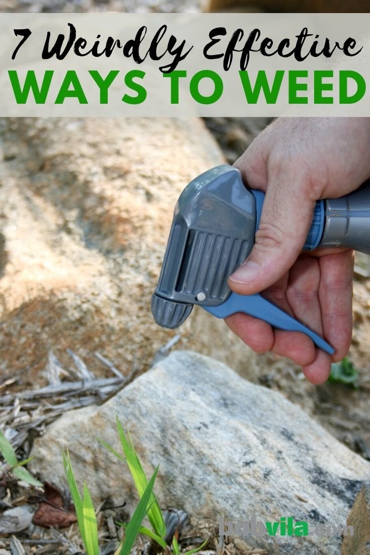 7 Weirdly Effective Ways to Weed