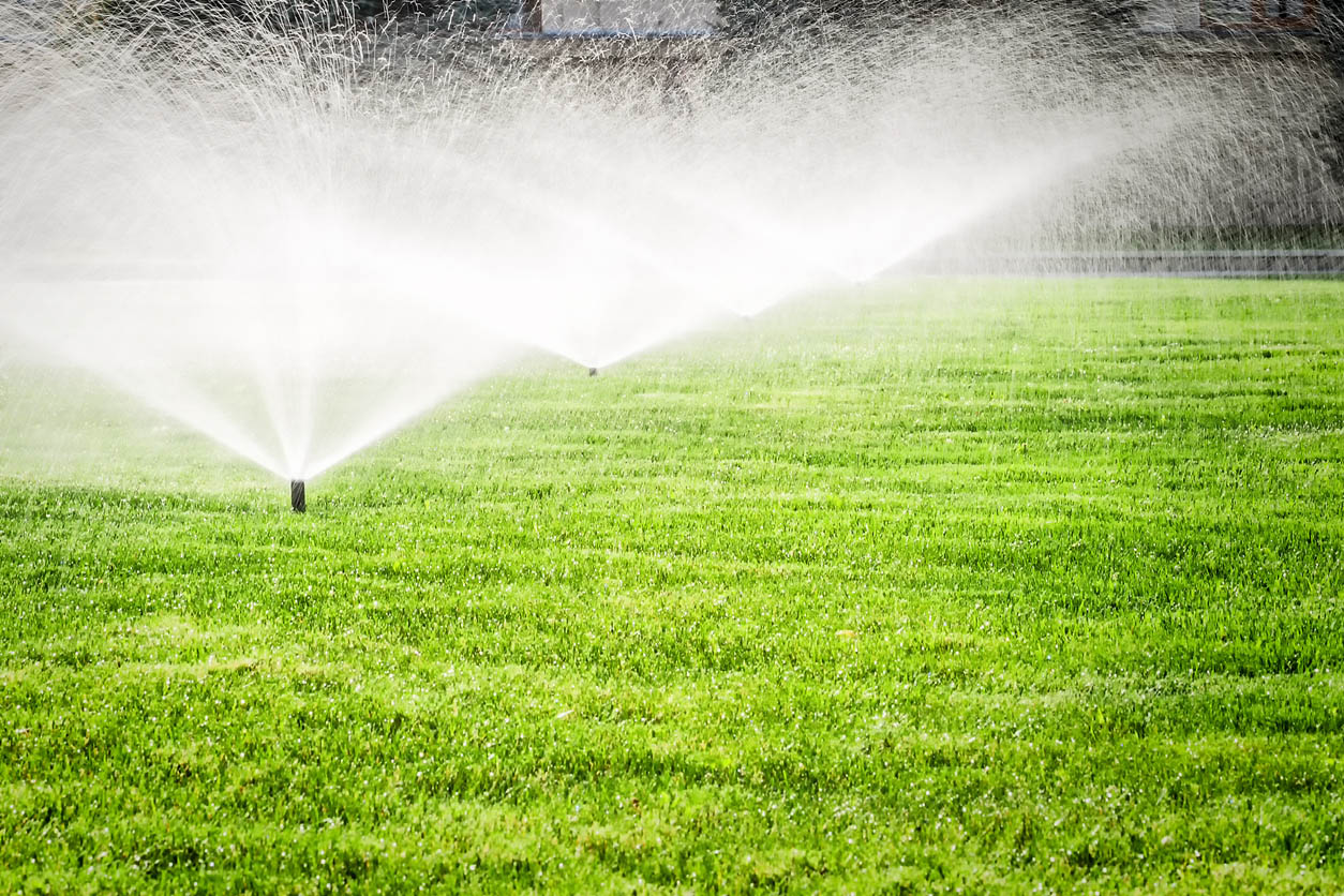 A view of four lawn sprinklers watering a lawn.