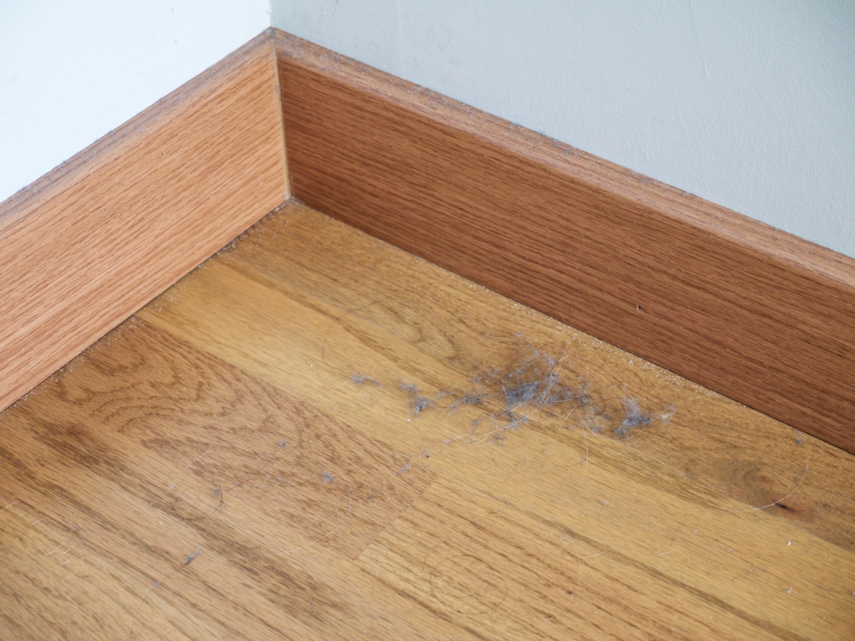 A collection of dust and hair in the corner of the room.